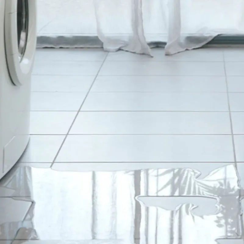 Appliance Leak Cleanup in Rockbridge County, VA