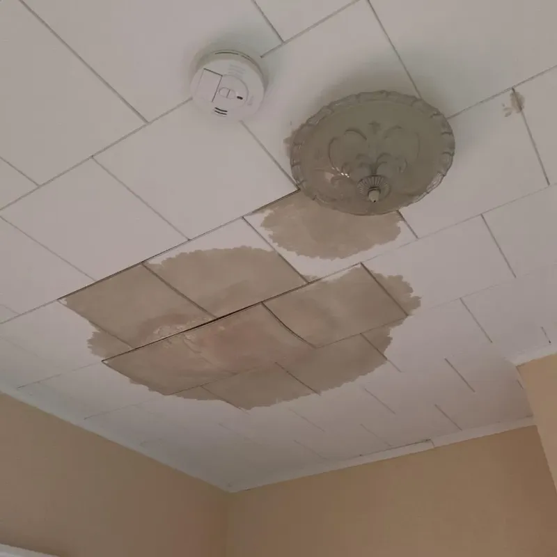 Ceiling Water Damage Repair in Rockbridge County, VA
