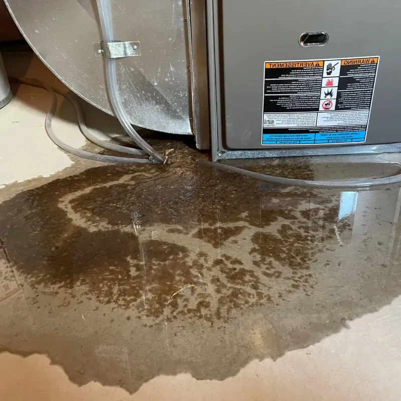 Pipe Burst and Leak Restoration in Rockbridge County, VA
